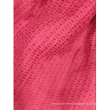 100% polyester hole knitted Jacquard fabric